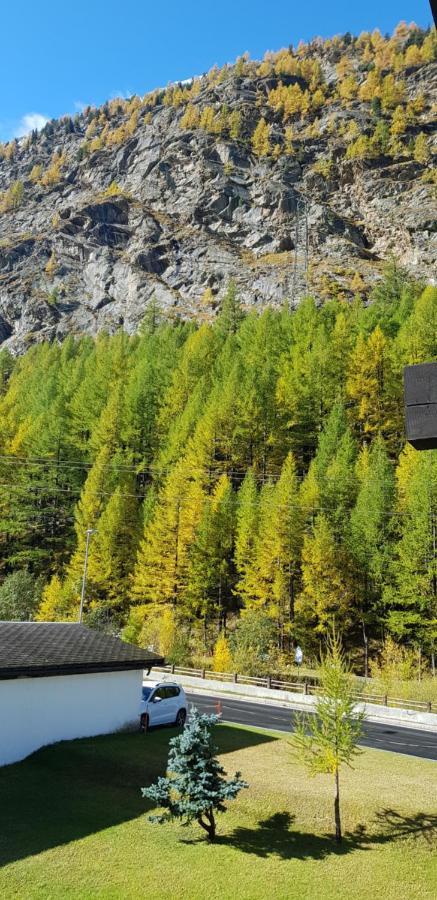 Ferienwohnung Aristella Saas-Almagell Exterior foto